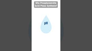 Why Phosphoramidite Solid Phase Synthesis [upl. by Aniles650]