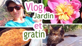 VLOG DANS LE JARDIN ET GRATIN  🌼  LITTLE BENE [upl. by Atoel]