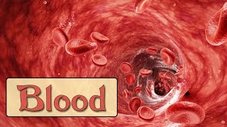 Easy Physiology  Blood  1Hemostasis amp Coagulation Cascade [upl. by Kimitri661]