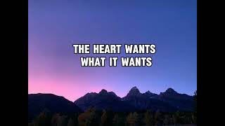 Selena Gomez  The Heart Wants What It Wants lyrics video [upl. by Ahsal]