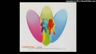 Planet Love  Wonderful Life Extended Mix [upl. by Tedda]