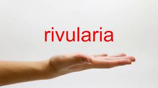 How to Pronounce rivularia  American English [upl. by Jelks]