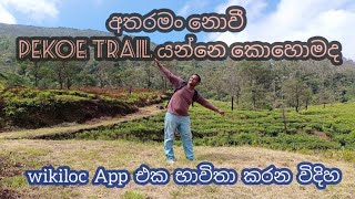 අතරමං නොවී Pekoe Trail යන්නෙ කොහොමද  How to use quotwikilocquot App [upl. by Ennovyahs]