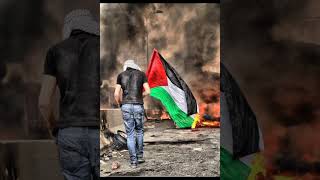 فلسطين حرة 🇵🇸 ع اغنية ع عهدي على ديني انا دمي فلسطيني [upl. by Cavil]