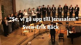 Se vi gå upp till Jerusalem SvenErik Bäck [upl. by Otrebogad776]