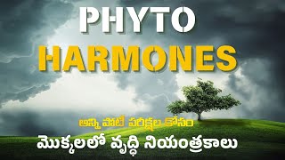 PHYTO HARMONES  మొక్కల్లో వృద్ధి నియంత్రకాలు  BIOLOGY CLASSES IN TELUGU  RRB  ALP  JE  DSC [upl. by Ineslta]