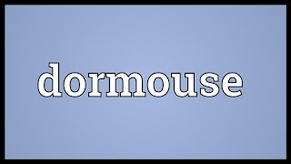 Dormouse Meaning [upl. by Amron630]