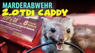 Marderschreck Marderabwehrgerät StopampGo Einbau im Caddy mit Euro 6  HLC Media [upl. by Findlay209]