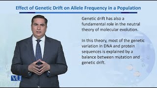 Effect of Genetic Drift on Allele Frequencies  Biodiversity amp EvolutionII  BT201Topic167 [upl. by Alcine]