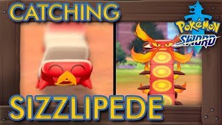 Pokémon Sword amp Shield  How to Get Sizzlipede amp Centiskorch [upl. by Eyla304]