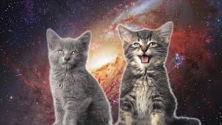 Space Cats — Magic Fly [upl. by Annora38]