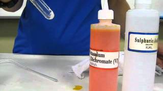 Sulfur dioxide gas test [upl. by Eedahs]