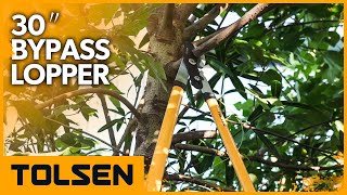 TOLSEN 30″ Bypass Lopper for Tree Trimming [upl. by Annazor]