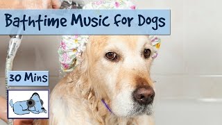 Music to Relax Your Dog During Bathtime Groom Your Dog to Relaxing Music 🐶 GROOM07 [upl. by Adina]