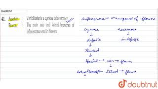 Assertion  Verticillaster is a cymose inflorescence Reason  The main axis and lateral branche [upl. by Nibot]
