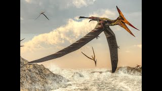 Pterosaur Sound Effects [upl. by Gilberto]