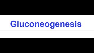 Gluconeogenesis I Formation of glucose from non carbohydrate substrates [upl. by Adniral393]