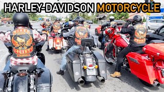 Harley Davidson Motorcycles Convoy with the gang  Lita Mazlan [upl. by Terris]