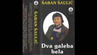 Saban Saulic  Najlepsa zeno vremena svih  Audio 1979 HD [upl. by Ordnassela137]