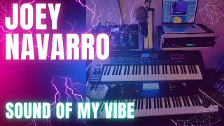 SOUND OF MY VIBEJoey Navarro [upl. by Moshe]