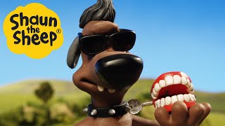 Shaun the Sheep 🐑 Bitzers New Archnemesis 🐶 Full Episodes Compilation 1 hour [upl. by Dierolf]