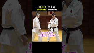 Control your enemy with your mind Tatsuya Nakas Budo Karate [upl. by Eentroc]