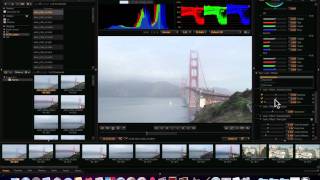 Redcine X Pro Tutorial Part 0  The Basics [upl. by Belinda]