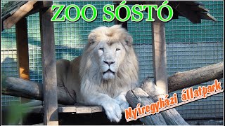 Nyíregyházi állatkert 2018 ősz Zoo Sóstó [upl. by Ethben439]