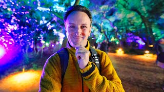 Enchanted Forest of Lights at Descanso Gardens [upl. by Rufina667]