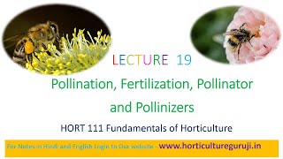 HORT111 Lecture 19 Pollination Fertilization Pollinators and Pollinizer  परागण और निषेचन [upl. by Gnaw]