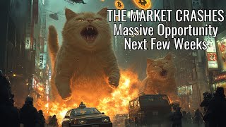 The Daily Update  THE MARKET CRASHES Massive Opportunity Next Few Weeks [upl. by Vershen]