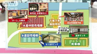 豊洲市場の楽しみ方を紹介！ 一般利用は13日から181011 [upl. by Zetrok]