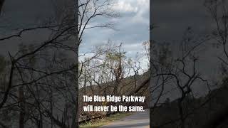 Devastated Blue Ridge Parkway after Hurricane Helene hurricanehelene asheville [upl. by Waxman]