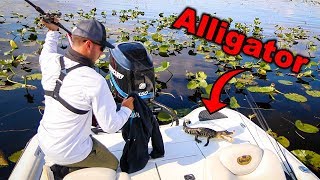 Accidentally Catching and Releasing ALLIGATOR Dangerous  Jiggin With Jordan [upl. by Adnical]