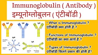 Immunoglobulin  Antibody IgG IgM IgE IgD IgA in Hindi  एंटीबॉडी और इसके प्रकार [upl. by Eillime]