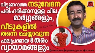 വിട്ടുമാറാത്ത നടുവേദന എങ്ങനെ പരിഹരിക്കാം  നടുവേദനയ്ക്ക് വീടുകളിൽ ചെയ്യാവുന്ന 8 വ്യായാമങ്ങൾ [upl. by Norman222]