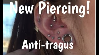 Piercing 25 │ Antitragus Piercing [upl. by Niarfe315]