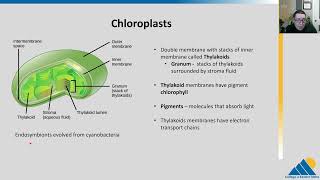 BIOL201 Ch81  Overview of Photosynthesis [upl. by Vachel]