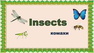 Insects Комахи англійською Репетитор Англійської [upl. by Aliel]