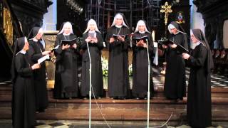 Puer natus est nobis  Schola Benedicamus Domino Sióstr Benedyktynek Misjonarek [upl. by Donetta]