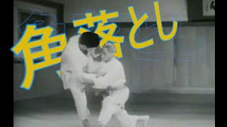 Sumi Otoshi A Misunderstood Takedown [upl. by Sirad]