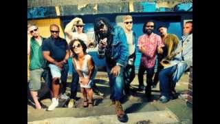 Cornell Campbell feat Soothsayers Horns  Theres a Fire Rootikal Mix [upl. by Otreblanauj]