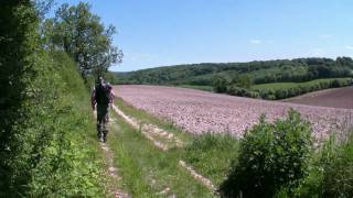 Stokenchurch  Bledlow Ridge  The Ridgeway  Chinnor  WalkID 49 [upl. by Aseneg]