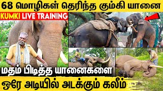 100 காட்டு யானைகளை அடக்கியவன் குழந்தை மாதிரி கோவிச்சிப்பான்  Story of Kaleem Elephant amp Instructor [upl. by O'Mahony]