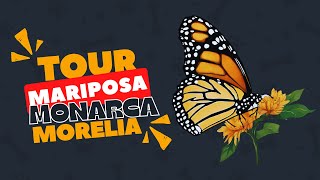 Tour Mariposa Monarca Morelia Michoacan [upl. by Maurie]