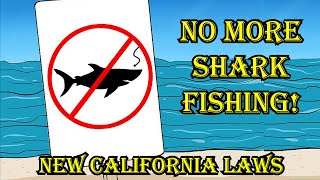 No More Shark Fishing New California Fishing Laws 2023 Land Based Shark Fishing [upl. by Cuyler]