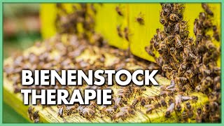 Bienenstocktherapie  Heuschnupfen Bronchitis COPD und Asthma natürlich behandeln [upl. by Devondra]