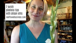 2 Quick Gladiola Tips [upl. by Arraet]