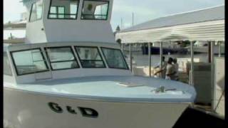 Commercial Fishing in the Florida Keys Part 1 [upl. by Lisa]