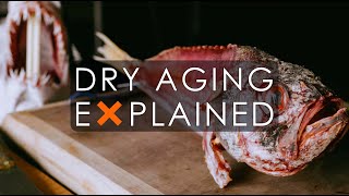 DryAging Fish  Explained  Chef Loren Waite [upl. by Debra]